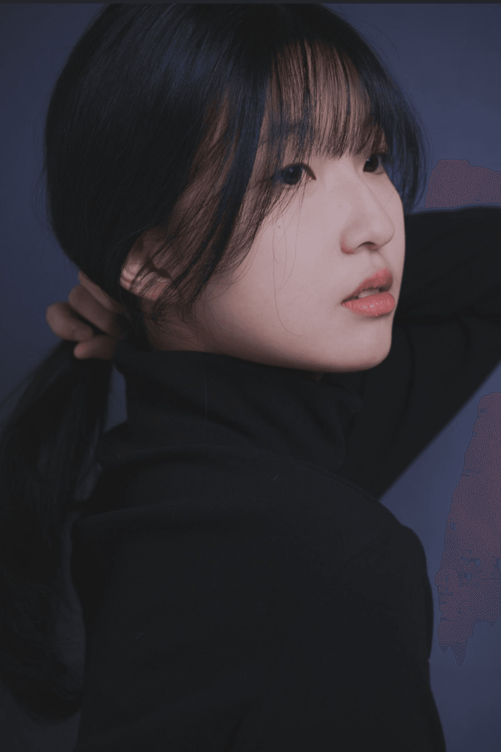 채현진