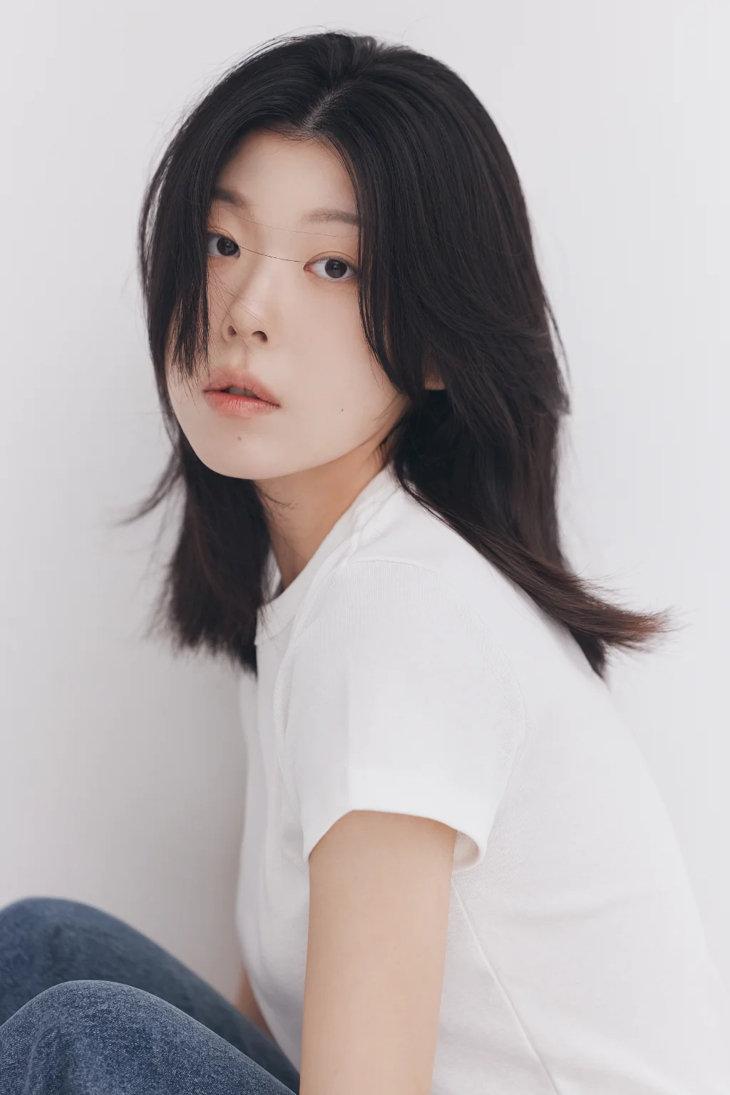 송시진