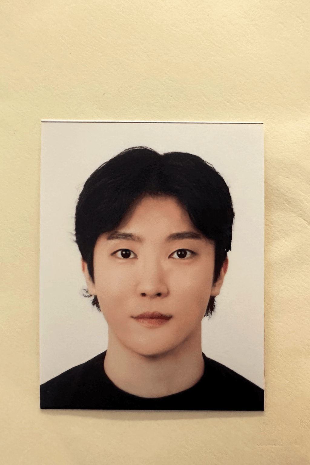 유태양