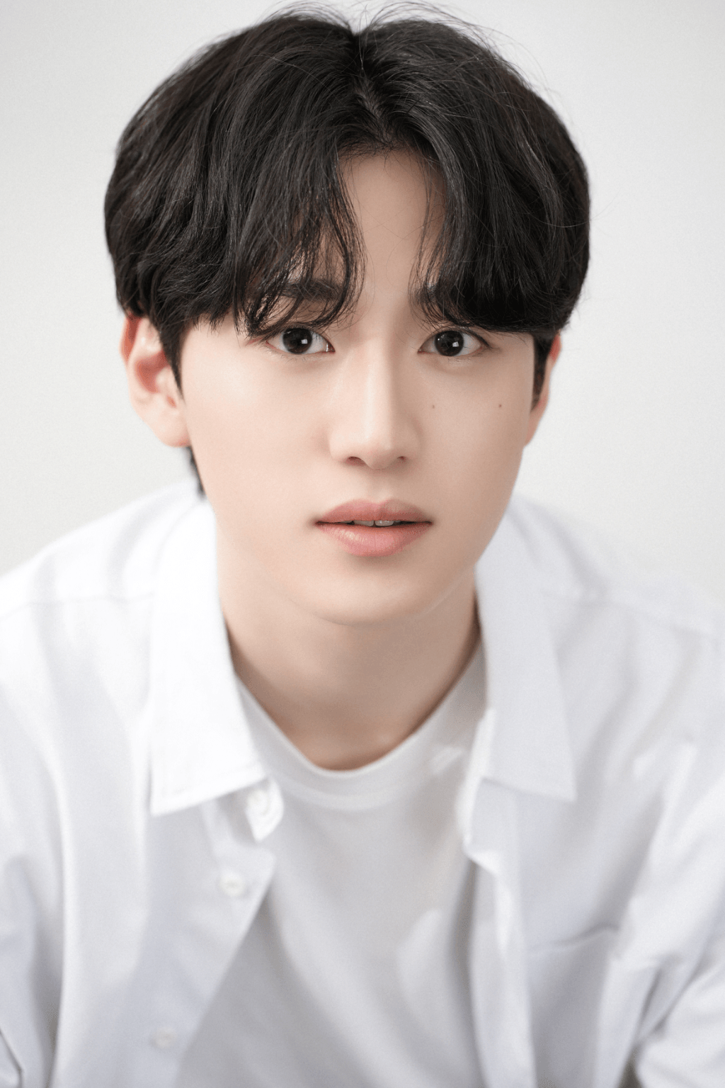안지호