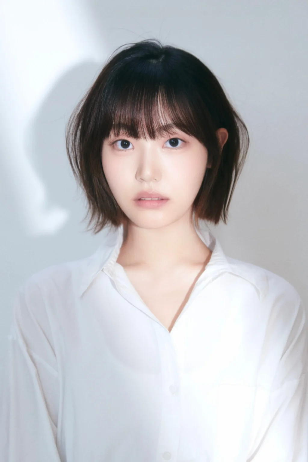 송어진