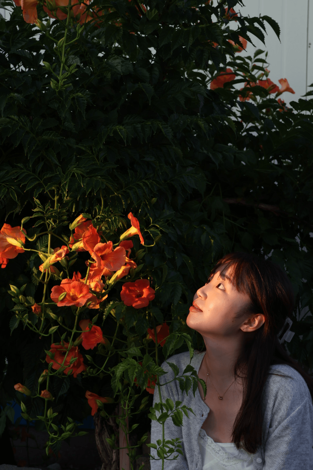 박서희