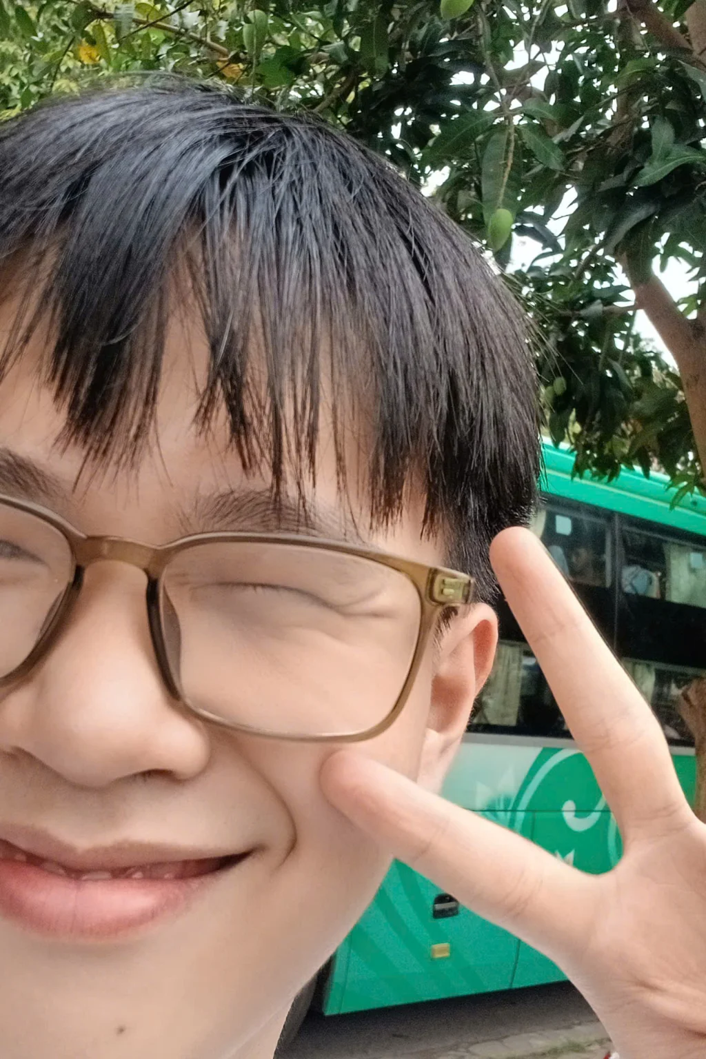 Việt Mai