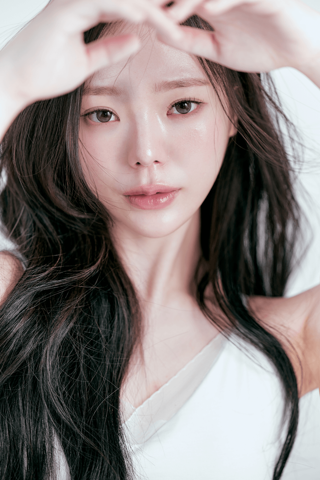 SEO HARI