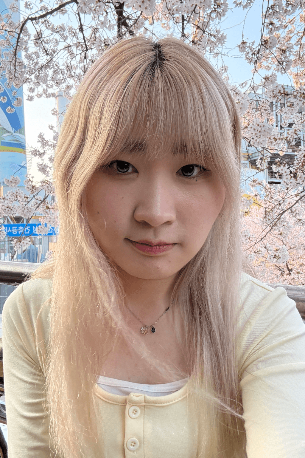 김나희