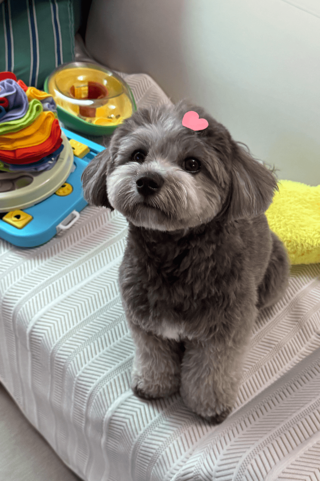 Tsuki