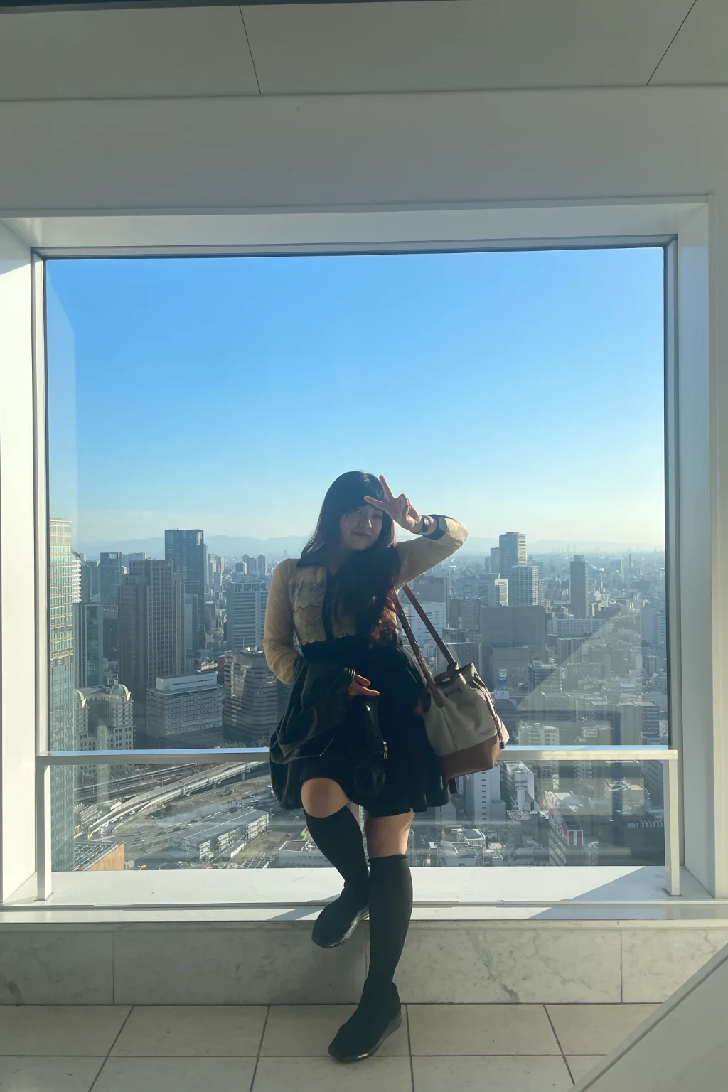 송향은