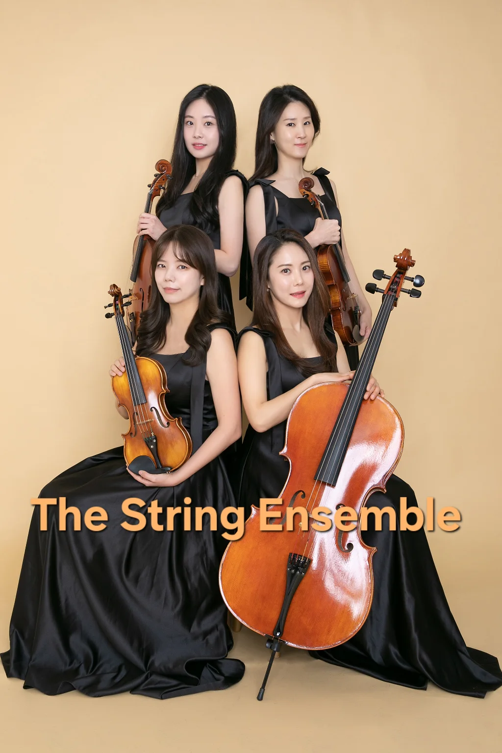 The String Ensemble